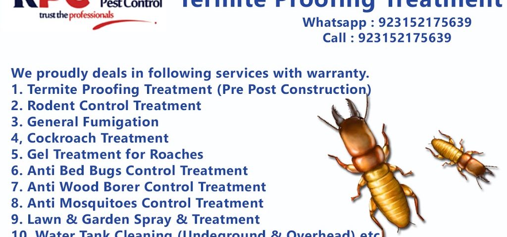 Busniness Card Termite
