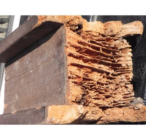 termite-damage-to-support-post